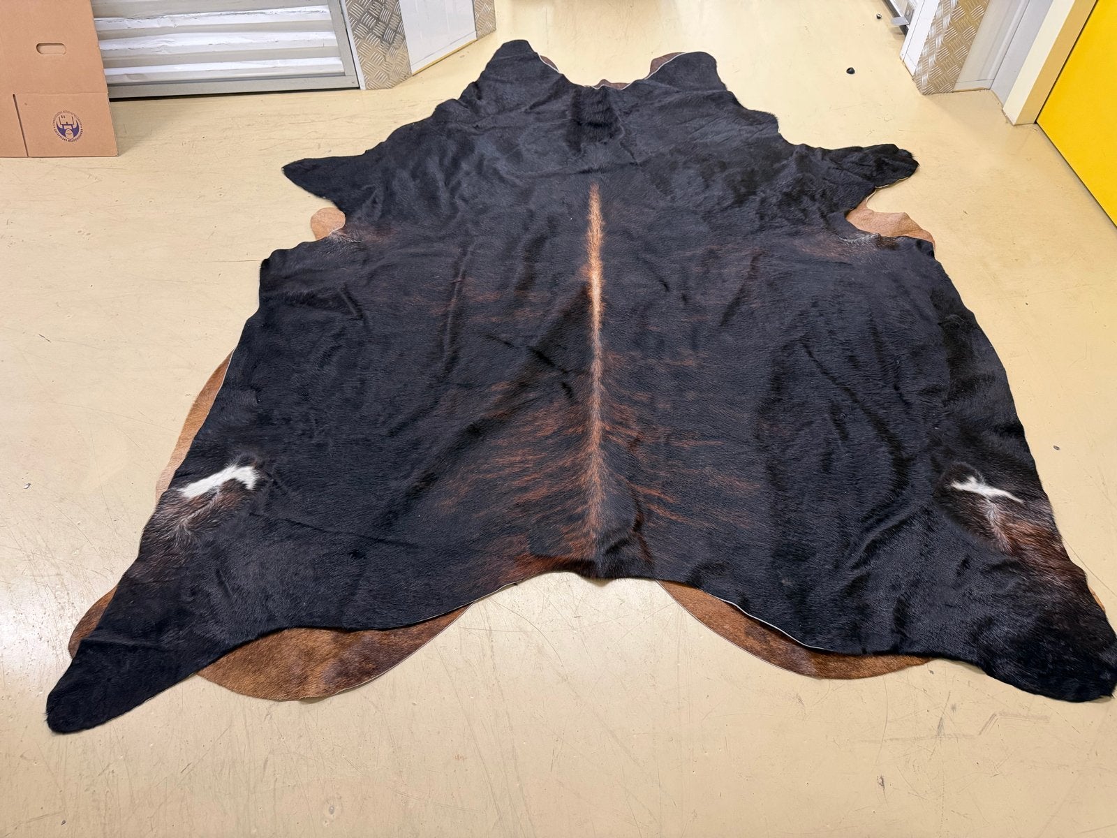 Prachtig zwart-bruin koeienhuid vloerkleed, Esbeco, Ophalen, Zwart, 150 tot 200 cm, Zo goed als nieuw