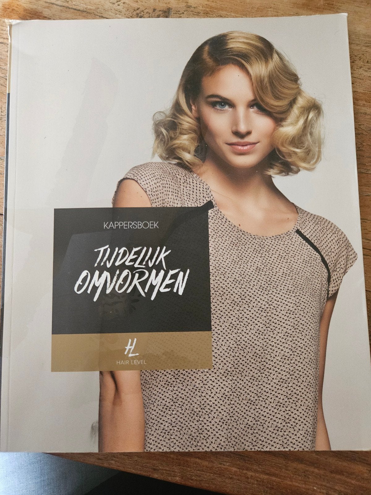 Kappersboek: Tijdelijk Omvormen - Hair Level, Ophalen of Verzenden, Gelezen, MBO, Visavi