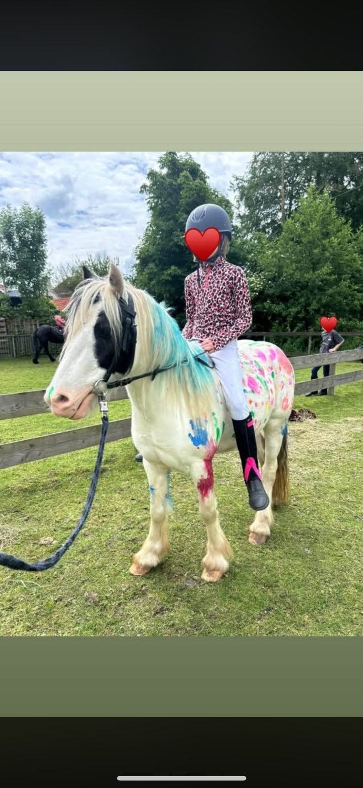 Lieve kinderpony, Dieren en Toebehoren, Ruin