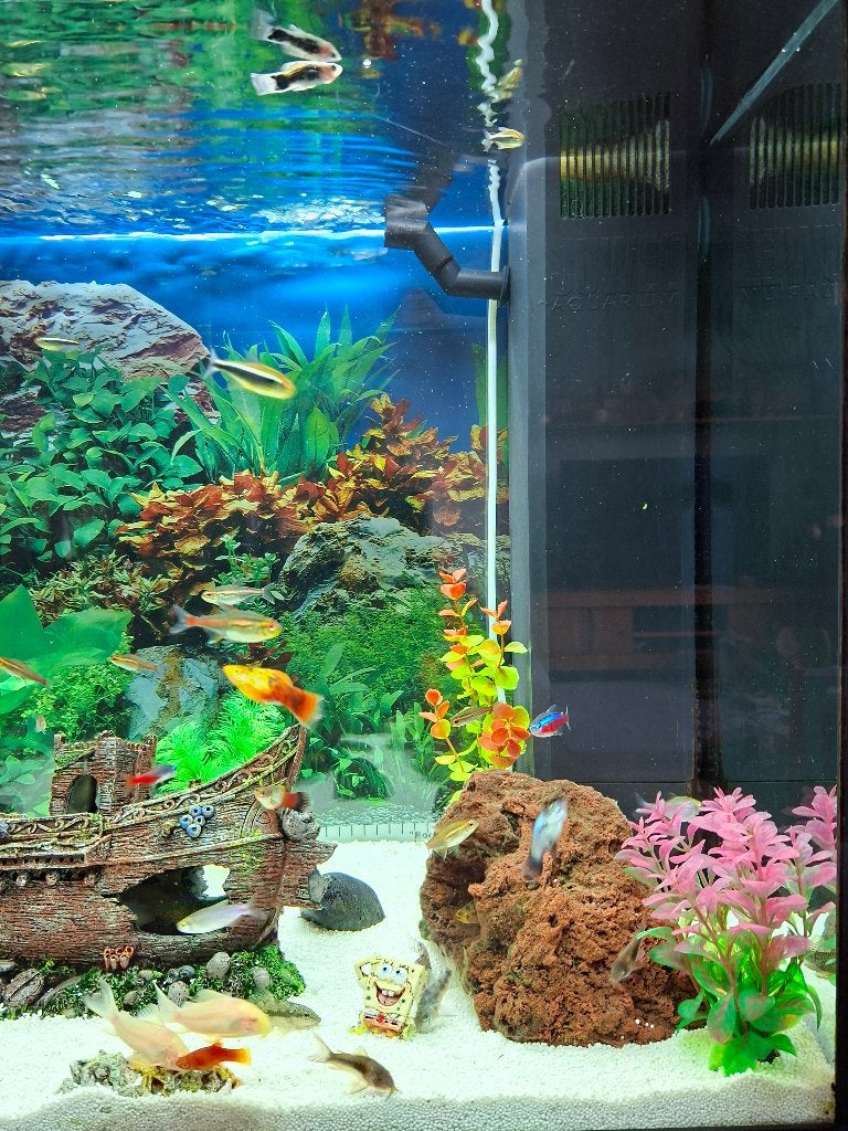 Aquarium Juwel   Lido 120 + bijpassend meubel + accessoires, Dieren en Toebehoren, Vissen | Aquaria en Toebehoren, Ophalen, Inclusief toebehoren