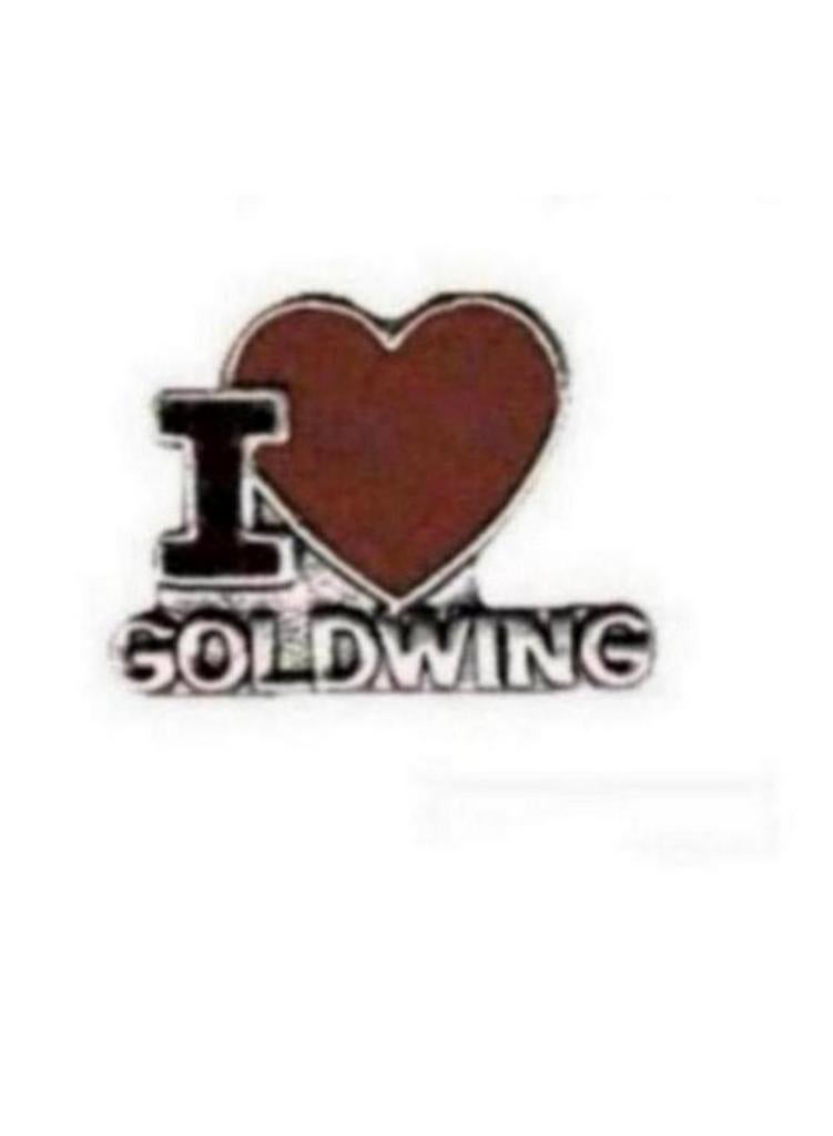 Leuke Goldwing pin voor je vest of jas, biker, rocker, Verzamelen, Ophalen of Verzenden, Nieuw, Overige onderwerpen