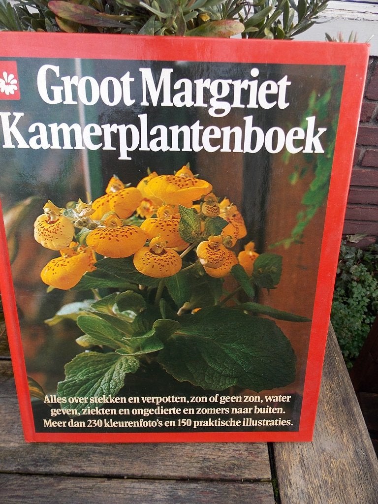 Groot Margriet Kamerplantenboek - Alles over planten, Ophalen of Verzenden, Kamerplanten, Onbekend, Gelezen