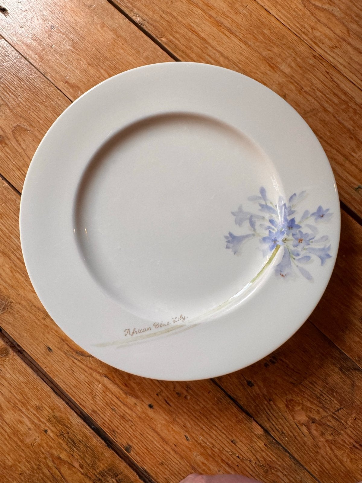 4 Royal Fine China borden met African Blue Lily decoratie, Gebruikt, Overige merken, Ophalen of Verzenden, Bord(en)