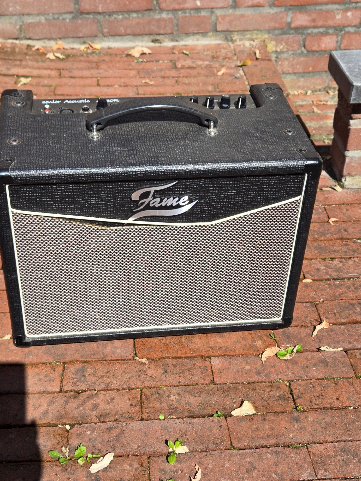 Fame Senior Acoustic AC30R Gitaarversterker, Muziek en Instrumenten, Ophalen of Verzenden, Gebruikt, Gitaar, Minder dan 50 watt