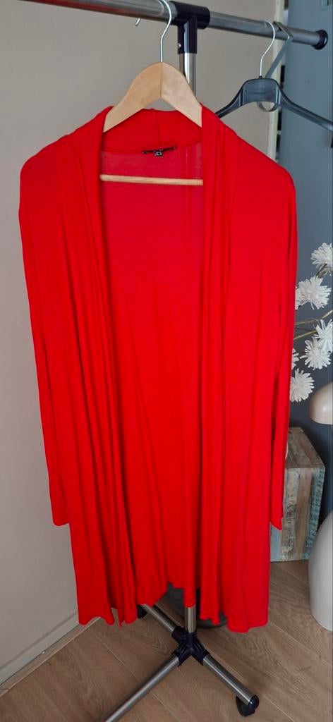 Rood vest van Yest 42, Maat 42/44 (L), Ophalen of Verzenden, Zo goed als nieuw, Yest