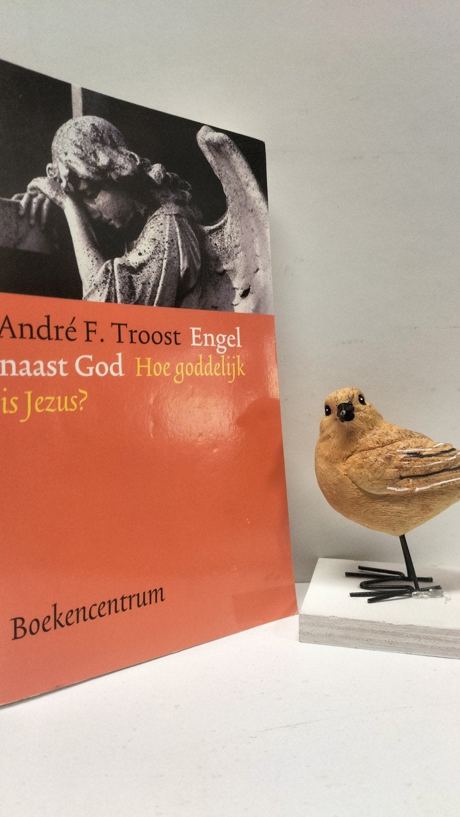 Troost, Andre F.; Engel naast God  Hoe goddelijk is Jezus?, Ophalen of Verzenden, Gelezen, Christendom | Protestants