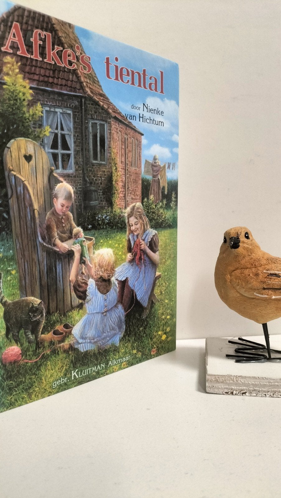 Hichtum, Nienke van; Afke’s tiental, Boeken, Ophalen of Verzenden, Gelezen