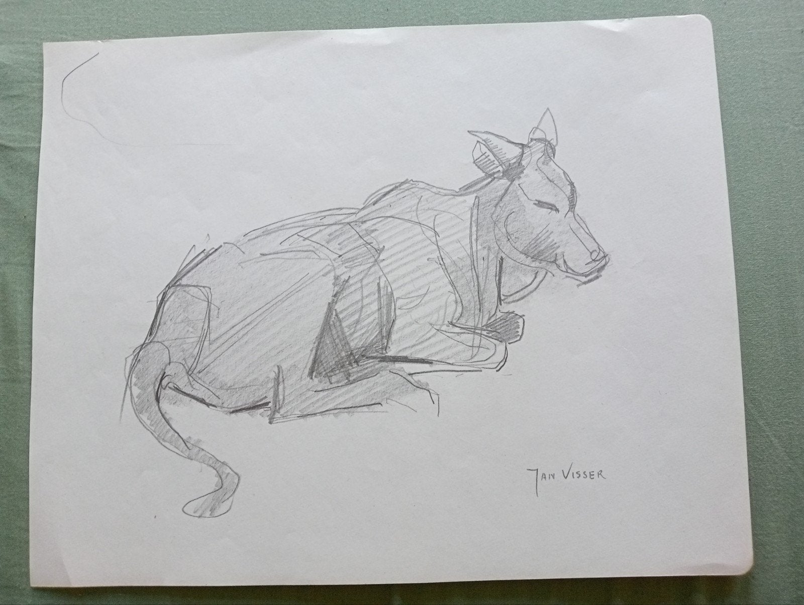 Jan Visser tekening Rund jaren 40-50 Blijdorp Rotterdam, Antiek en Kunst, Kunst | Tekeningen en Foto's, Ophalen of Verzenden