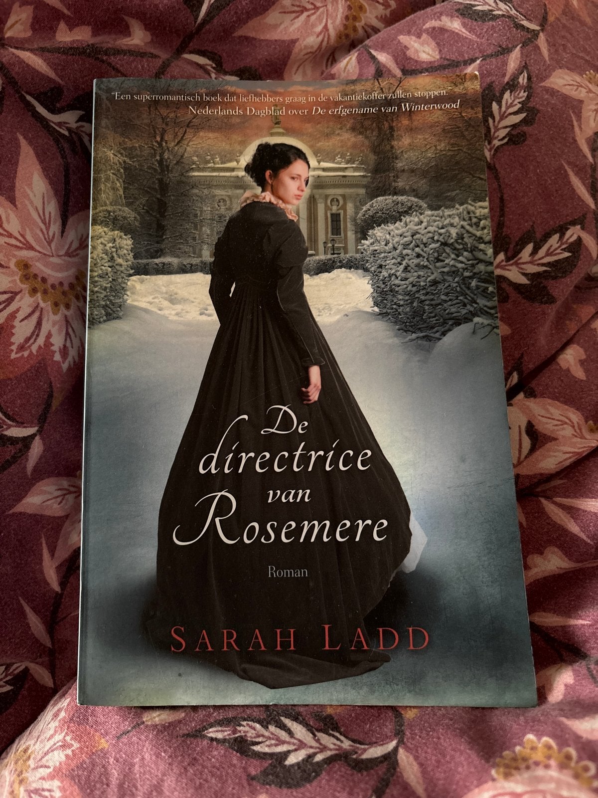 De directrice van Rosemere - Sarah Ladd (Roman), Boeken, Ophalen of Verzenden, Gelezen, Nederland