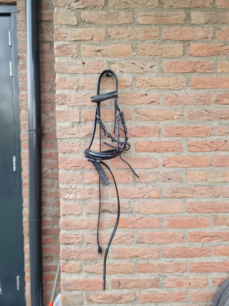 Leren hoofdstel shet, Ophalen of Verzenden, Nieuw, Overige soorten