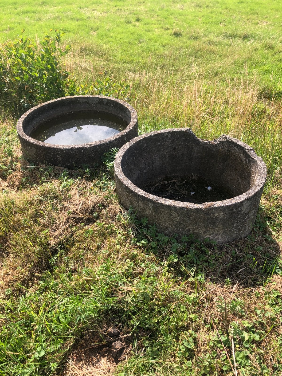 Betonnen bakken voor drinken of planten gratis, Ophalen, Gebruikt