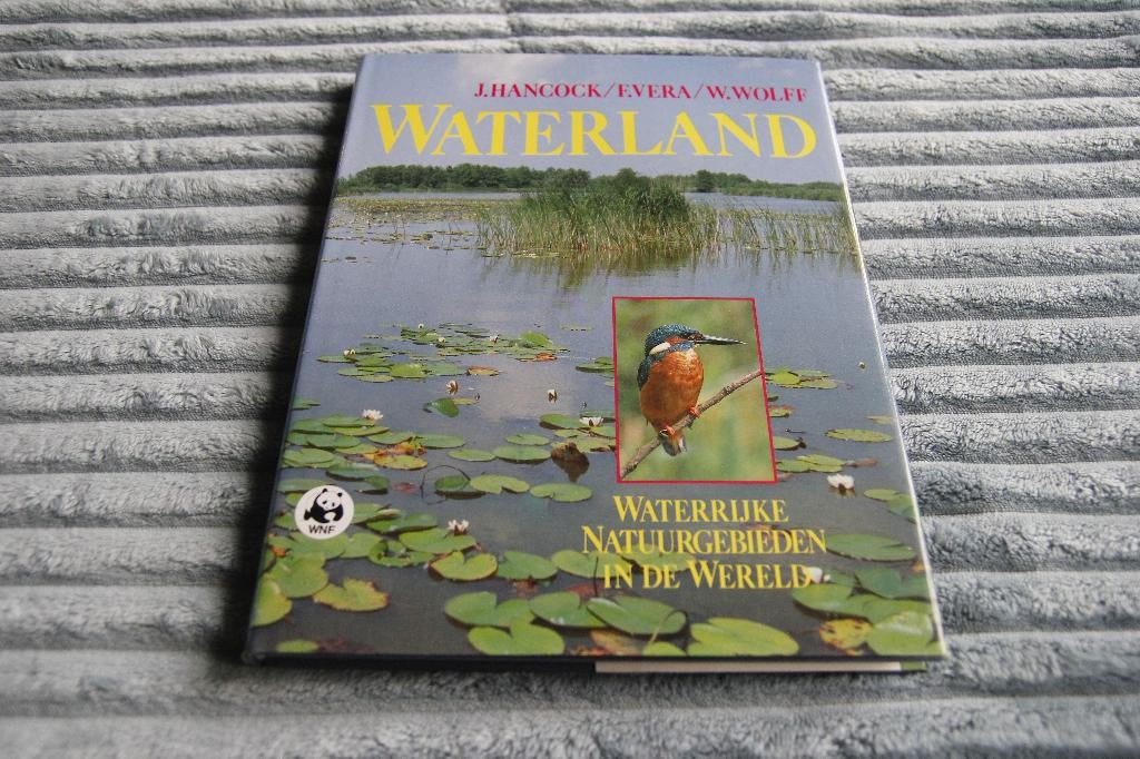 Waterland Hancock, Boeken, Ophalen of Verzenden, Gelezen