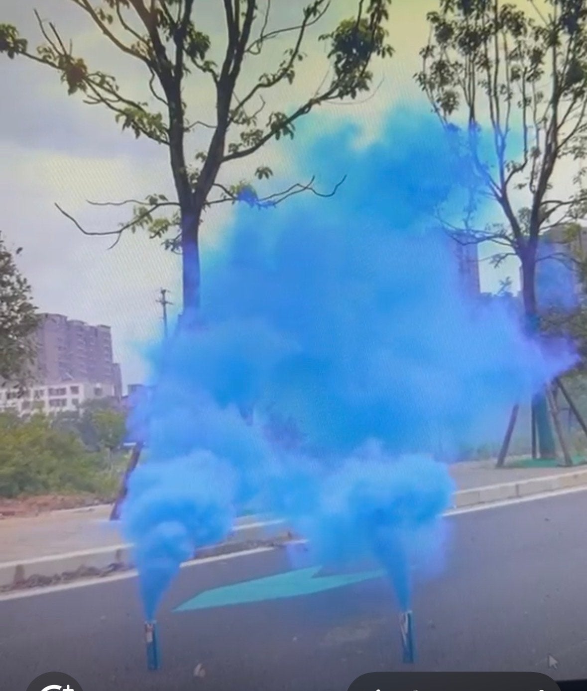 Gender Reveal Rookbom, Ophalen, Nieuw, Feestartikel, Geboorte of Huwelijk