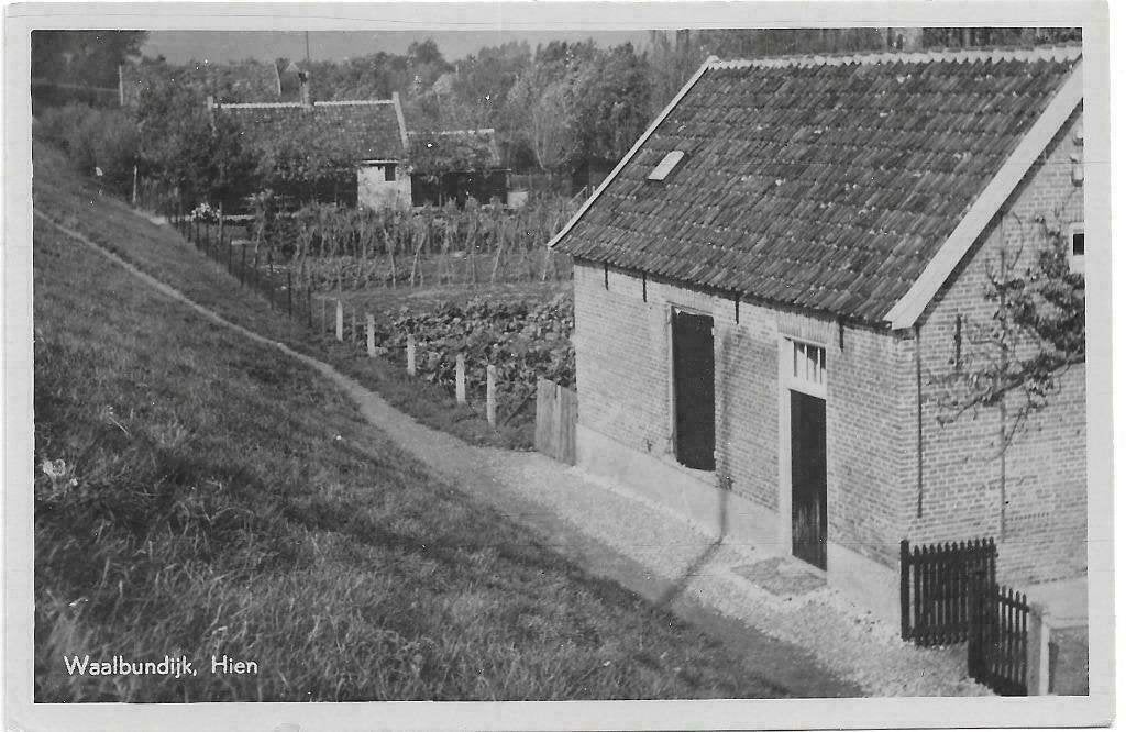 AK Hien, Neder-Betuwe - Waalbandijk, Verzenden, 1940 tot 1960, Ongelopen, Gelderland