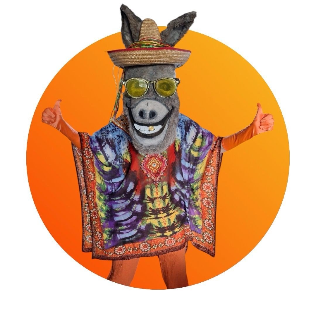 Complete Masked Singer Kostuums met alle toebehoren te huur, Ophalen, Gebruikt, Pak of Jurk