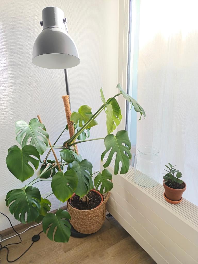 IKEA HEKTAR floor lamp - dark grey, Ophalen of Verzenden, Gebruikt, Metaal, 150 tot 200 cm