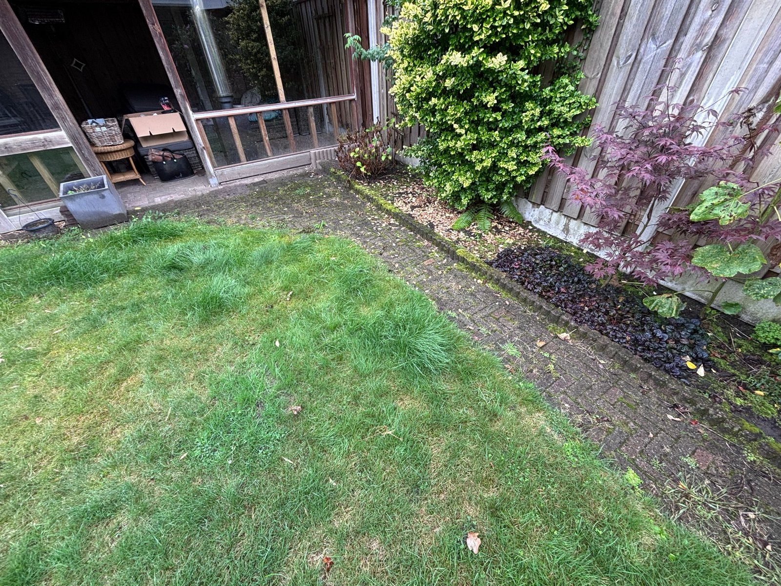 Gratis af te halen: Gebruikte terrastegels (klinkers), Ophalen, Gebruikt, Klinkers, 10 m² of meer