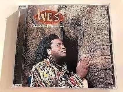 D Wes – Sinami (The Memory) , CDCOL 6121 K, Ophalen of Verzenden, Zo goed als nieuw, Overige soorten