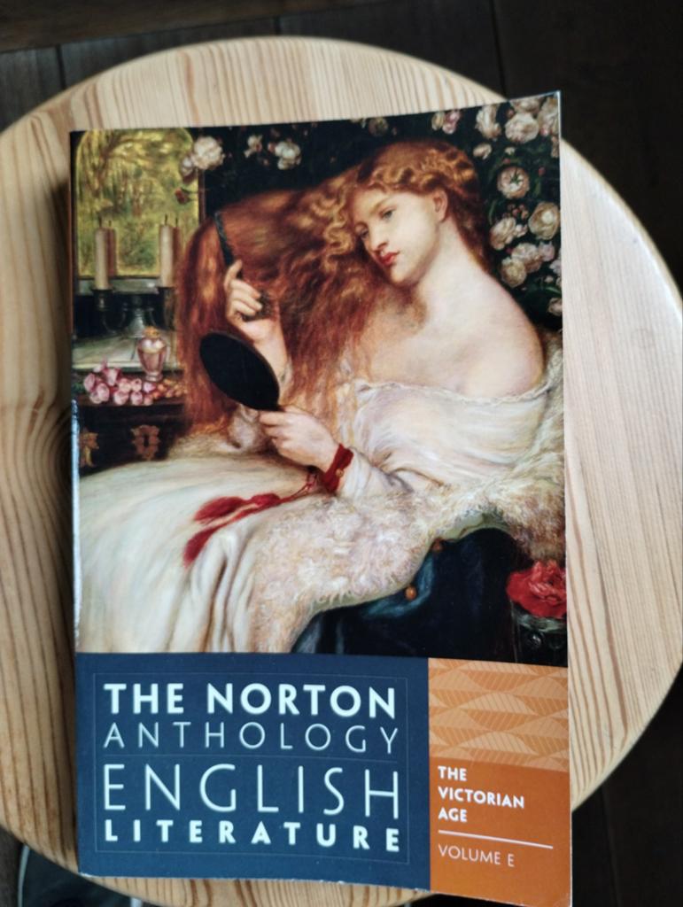 The Norton Anthology of English Literature - Victorian Age, Boeken, Ophalen of Verzenden, Gelezen, Stephen Greenblatt, Amerika