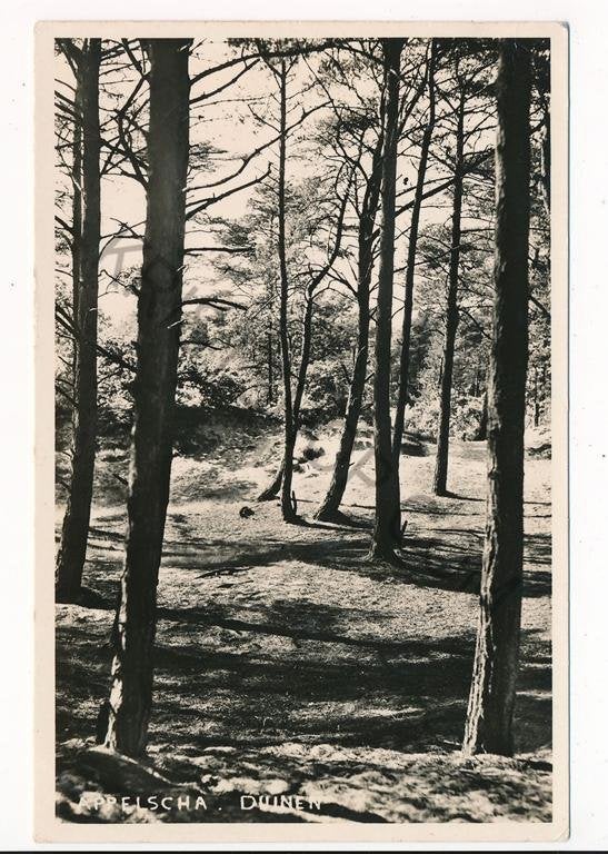 Appelscha - Duinen [003-6120, Verzenden, 1960 tot 1980, Gelopen, Friesland