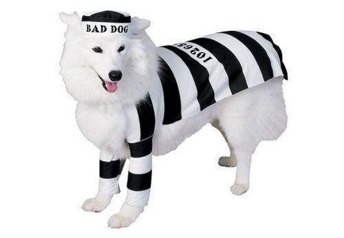honden carnavals pak: boef,maat m, Rubie`s deutschland gmbh, Bergisch gladbach duitsland, Nieuw, Hondenkostuum
