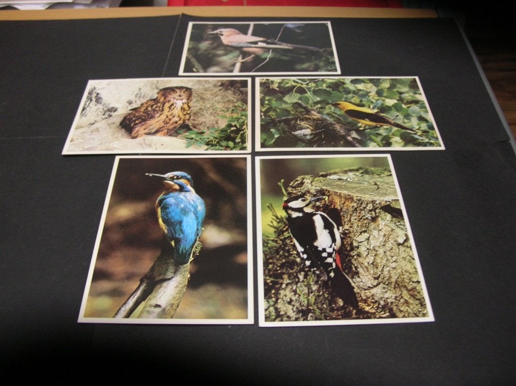 Voor het Kind Ansichtkaarten 1971  vogels, Ophalen of Verzenden, 1960 tot 1980, Ongelopen