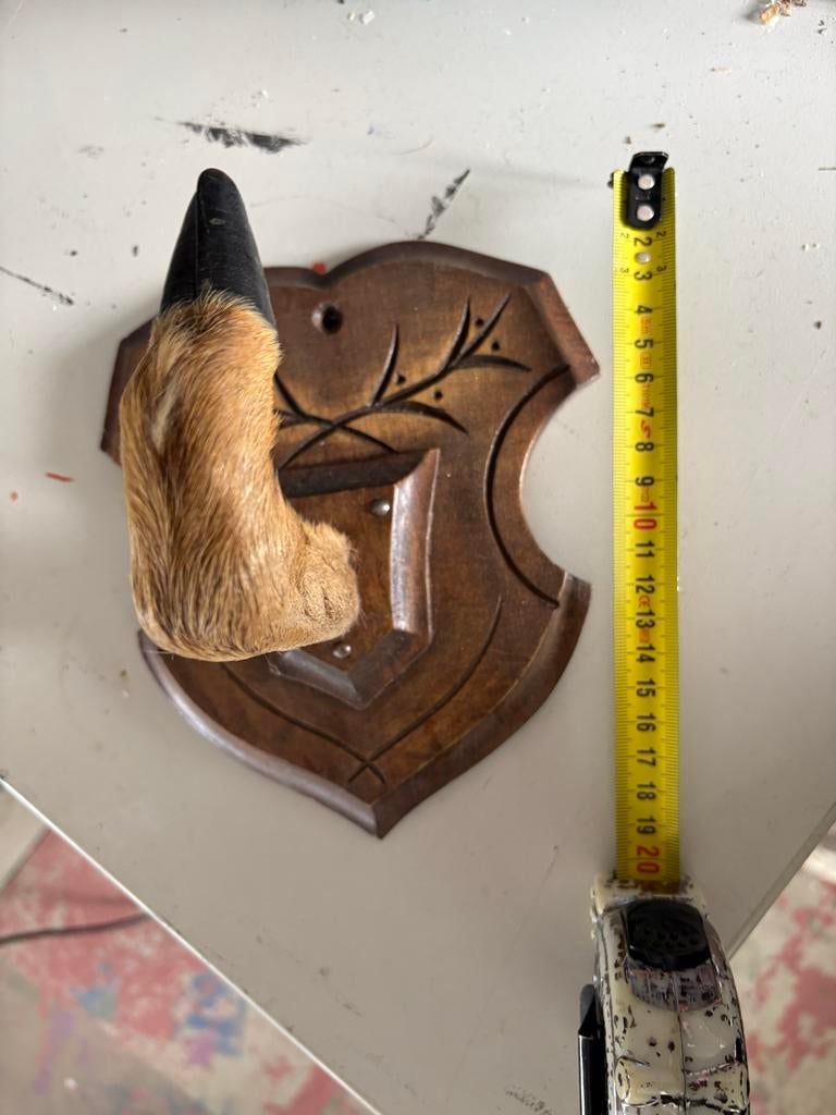 Vintage reeën poot op houten schildje - Jacht trofee, Ophalen of Verzenden