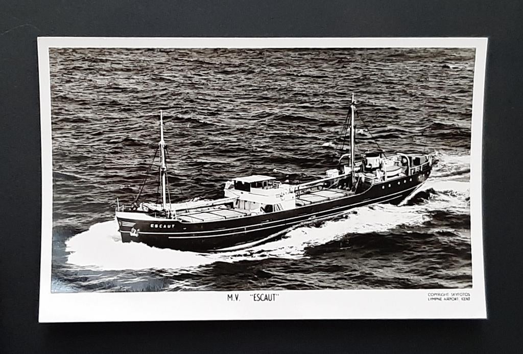 m.v. Escaut van Wm H. Müller & Co. N.V., Rotterdam, Verzenden, Zo goed als nieuw, Motorboot, Kaart, Foto of Prent