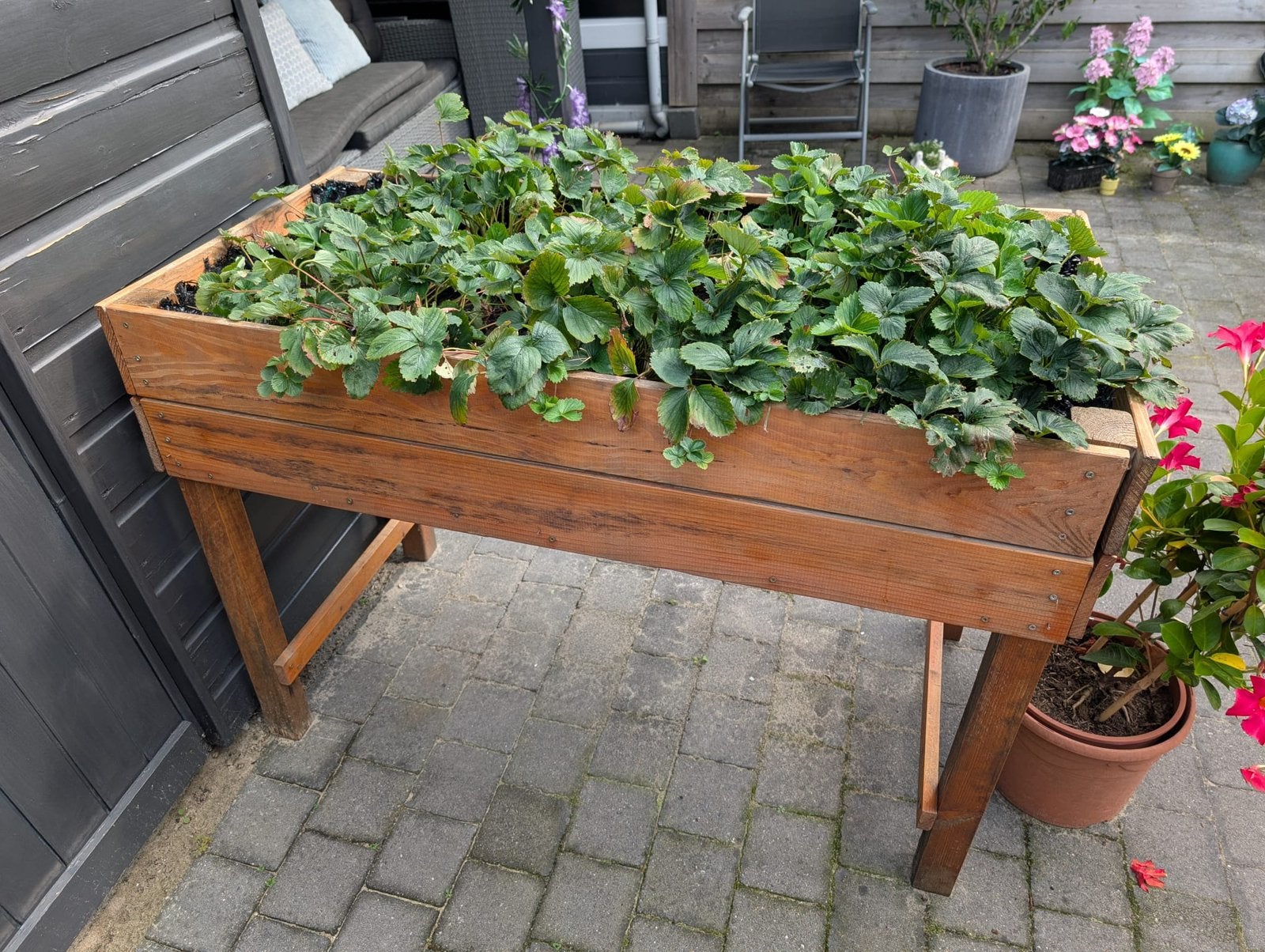Moestuinbak, Tuin en Terras, Ophalen, Gebruikt, 100 cm of meer, Balkon