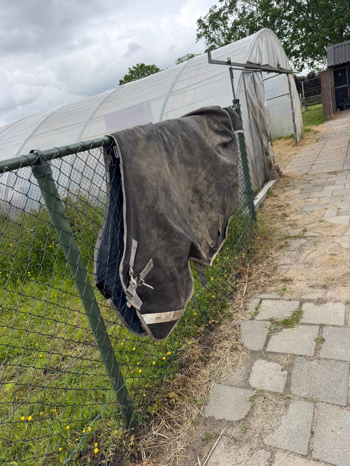 Amigo bravo 6.6 250 gram, Dieren en Toebehoren, Paarden en Pony's | Dekens en Dekjes, Ophalen of Verzenden, Zo goed als nieuw