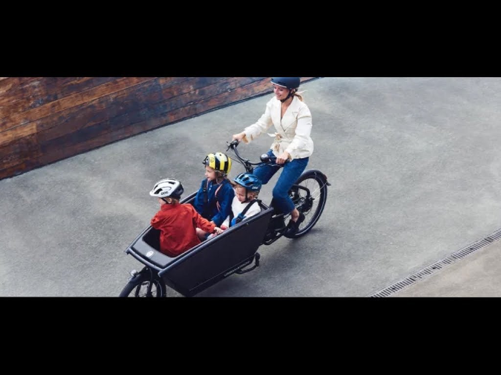 Urban Arrow Family Bosch refurbished 1 jr gar vanaf:, Niet ingevuld, Huif, Niet ingevuld, Ophalen of Verzenden