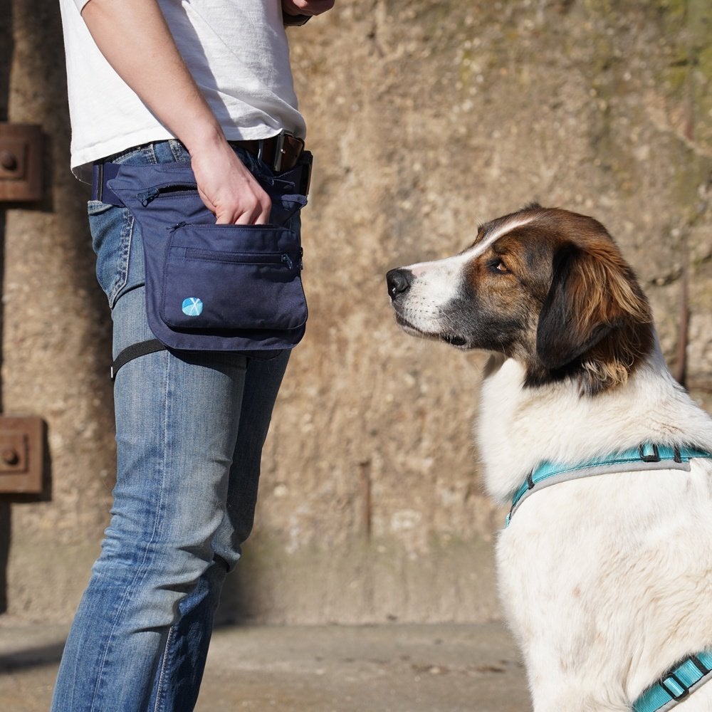 AnnyX Sidebag - Heuptas voor Hondentraining, Wandelen, Overige typen, Overige merken, Breitschneiderweg 117b Ratingen, Nieuw