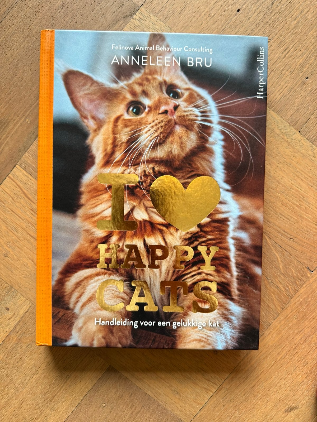 I Love Happy Cats - Handleiding voor een gelukkige kat, Boeken, Dieren en Huisdieren, Ophalen of Verzenden, Zo goed als nieuw