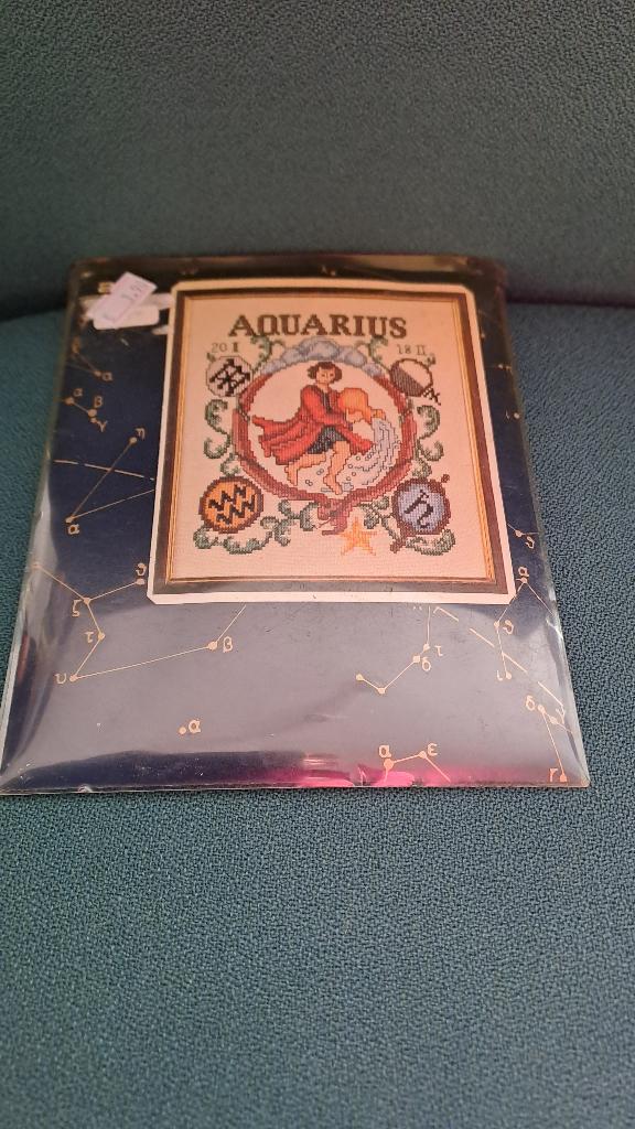 borduur sterrenbeeld Aquarius, Hobby en Vrije tijd, Ophalen of Verzenden, Nieuw, Handborduren, Borduurpakket