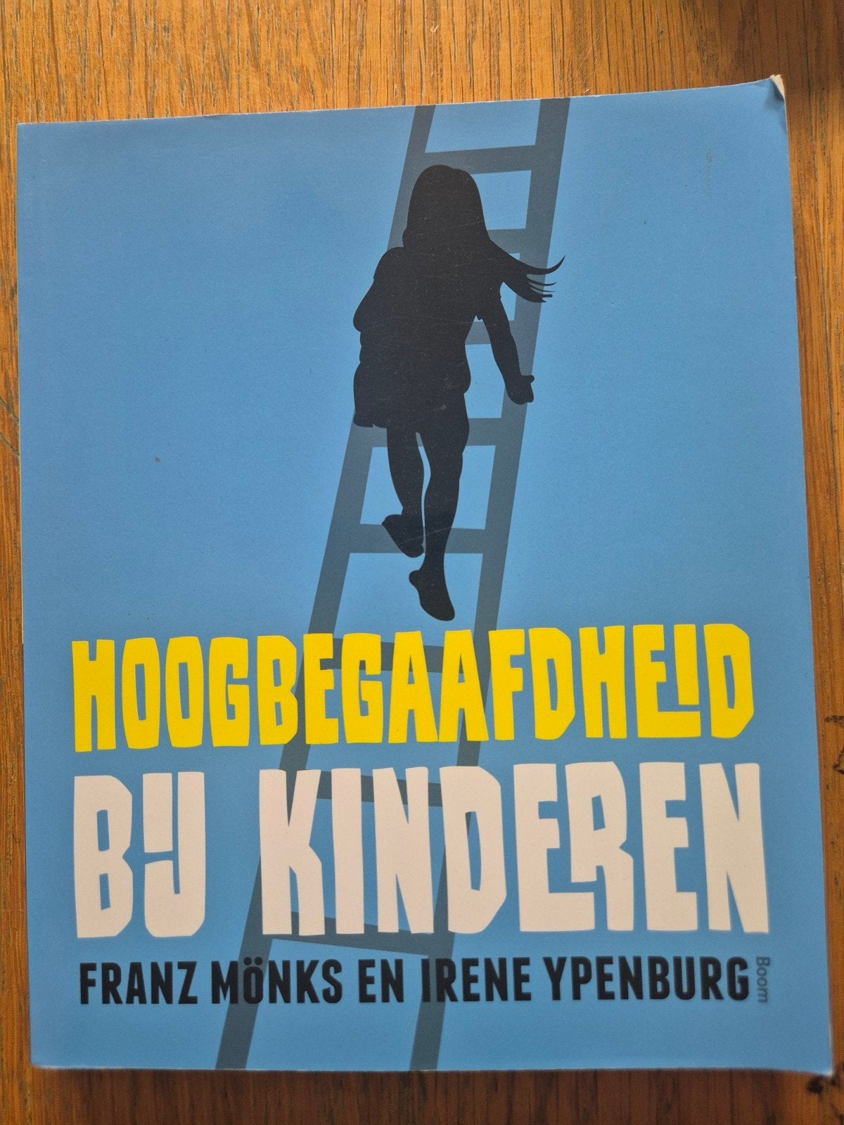 Hoogbegaafdheid bij kinderen - Franz Mönks & Irene Ypenburg, Boeken, Ophalen of Verzenden, Zo goed als nieuw, Overige niveaus