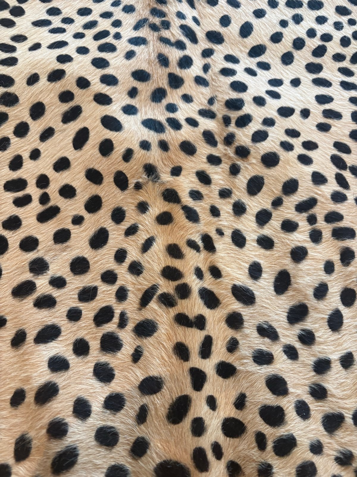 Luxe luipaard vacht vloerkleed 200x160 cm, Gebruikt, Beige, 150 tot 200 cm, 200 cm of meer