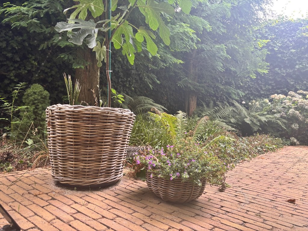Bloempot 2 stuks met planten, Ophalen, Rond, Zo goed als nieuw, Aardewerk