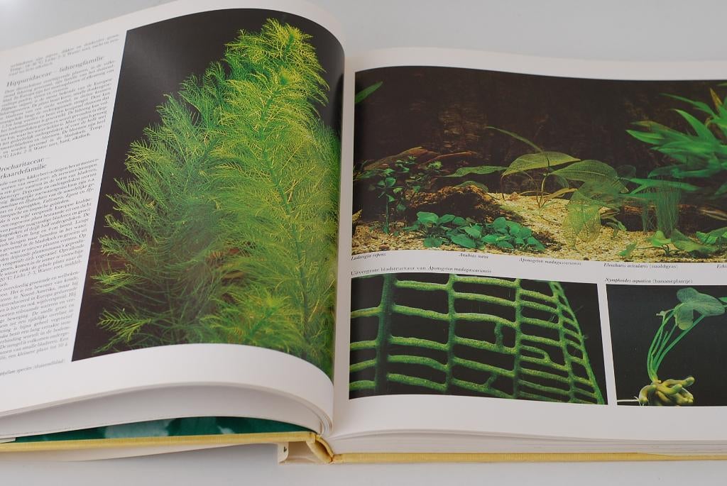 Aquarium - 11 boeken, Dieren en Toebehoren, Vissen | Aquaria en Toebehoren, Zo goed als nieuw, Zo goed als nieuw, Verzenden, Overige typen