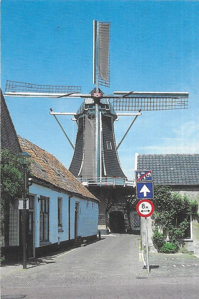 AK Hattem - Molen de Fortuin, Ophalen of Verzenden, 1960 tot 1980, Ongelopen, Gelderland