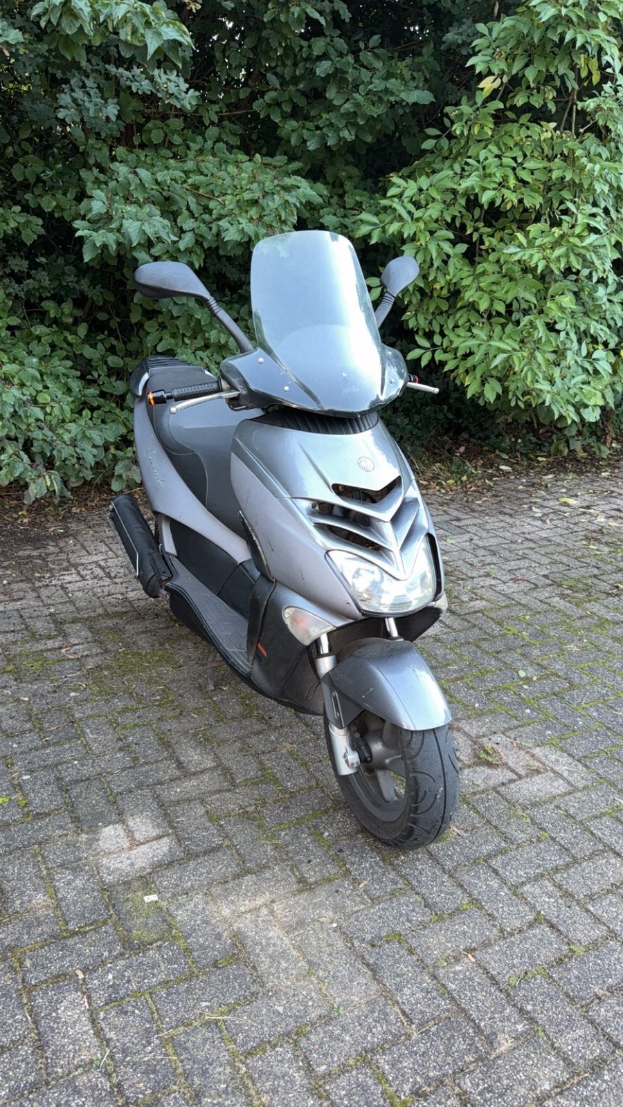 Aprilia leonardo 300cc, Fietsen en Brommers, Ophalen, Gebruikt, Overige modellen, 300 cc