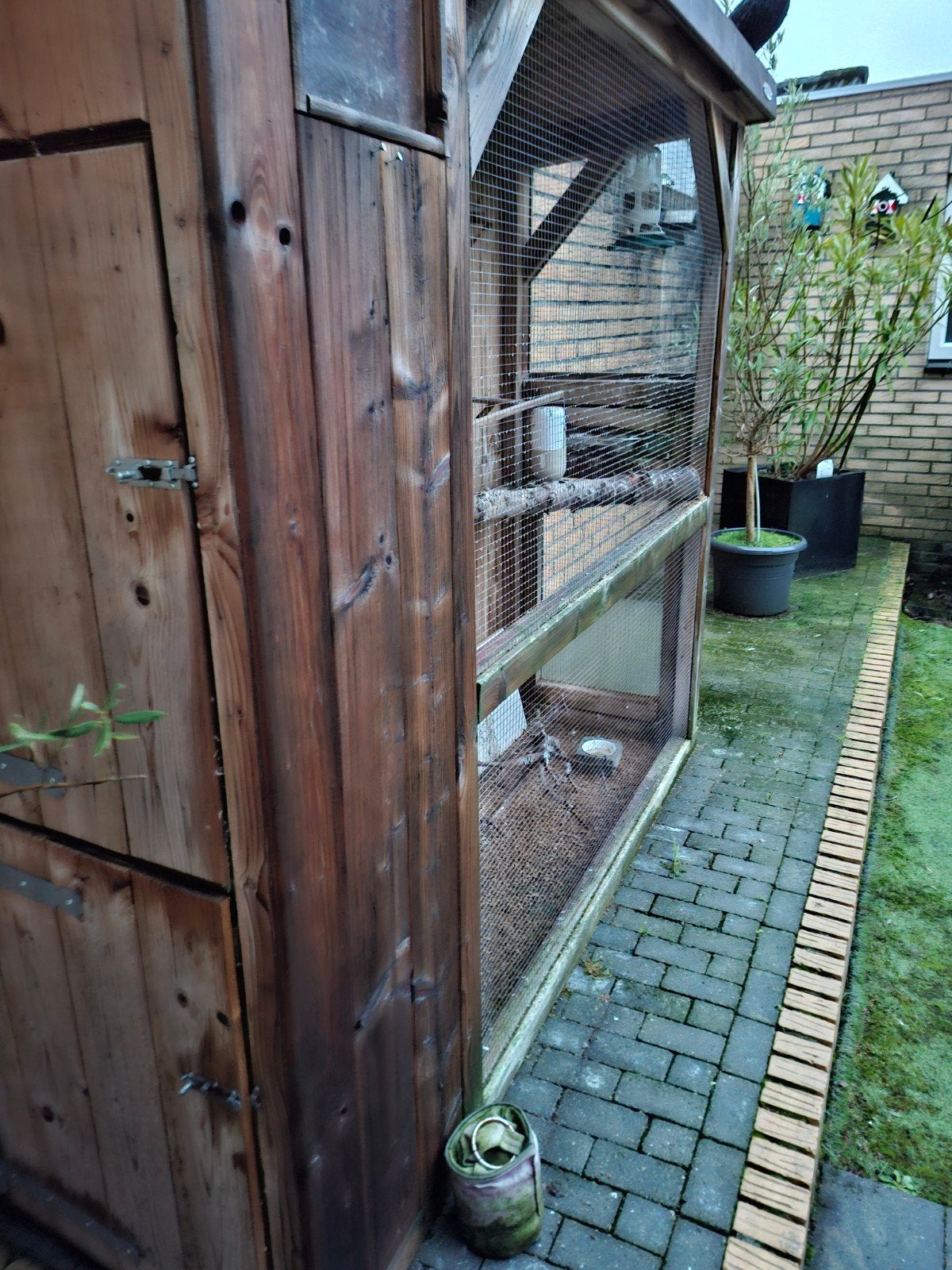1.80x55x1.70, Dieren en Toebehoren, Ophalen, Hout, Volière