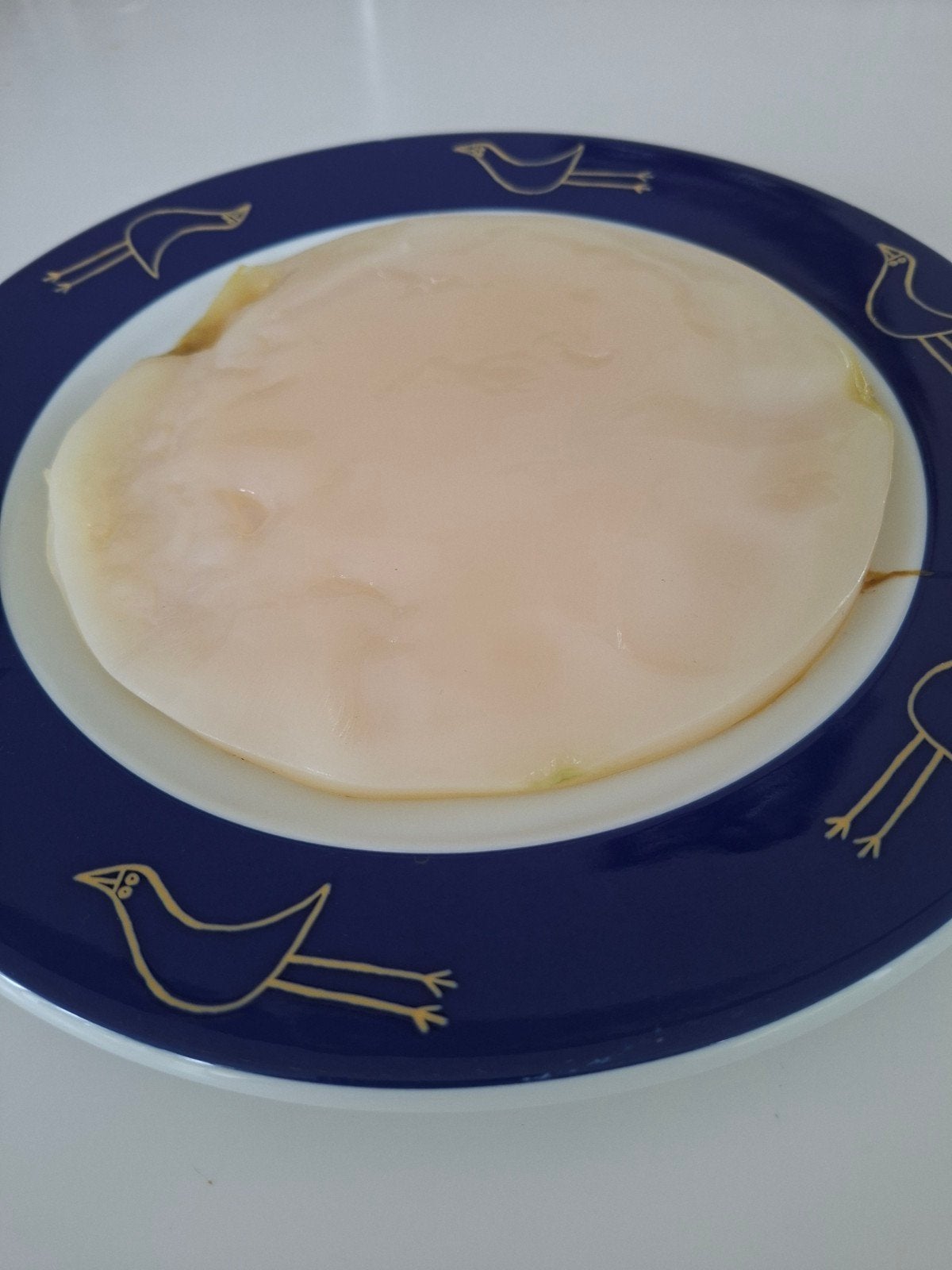 Kombucha SCOBY, Ophalen of Verzenden