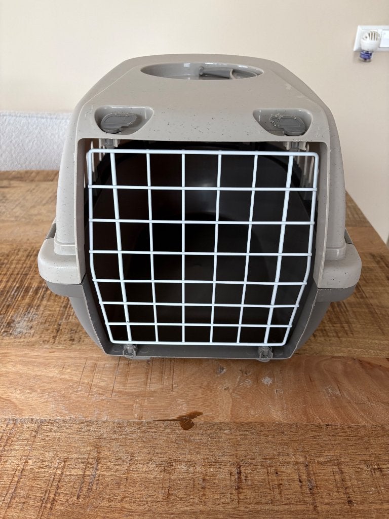 Katten reismand, Dieren en Toebehoren, Ophalen, Gebruikt