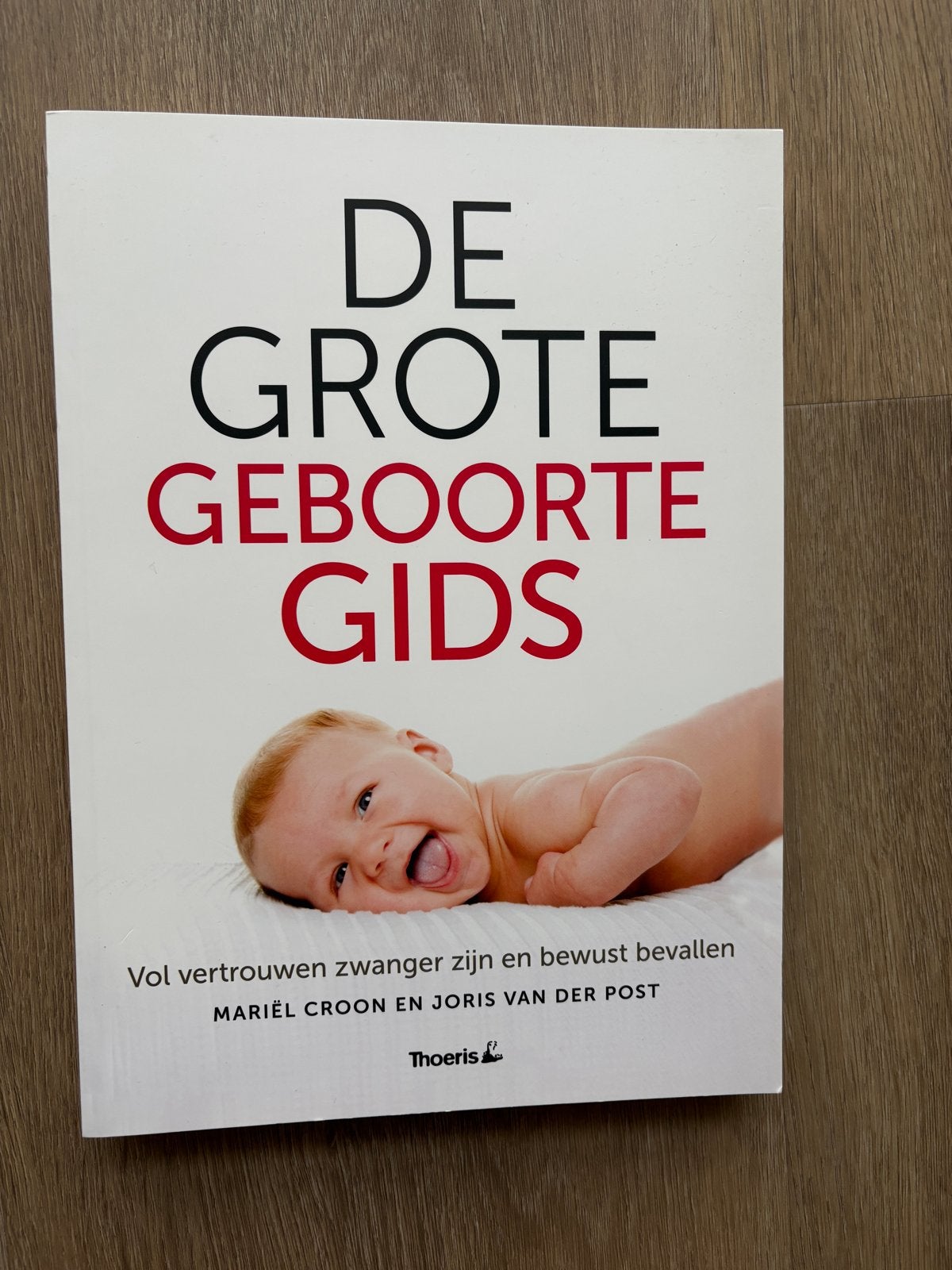 De Grote Geboorte Gids - Zwangerschap en Bevalling, Ophalen, Nieuw, Zwangerschap en Bevalling