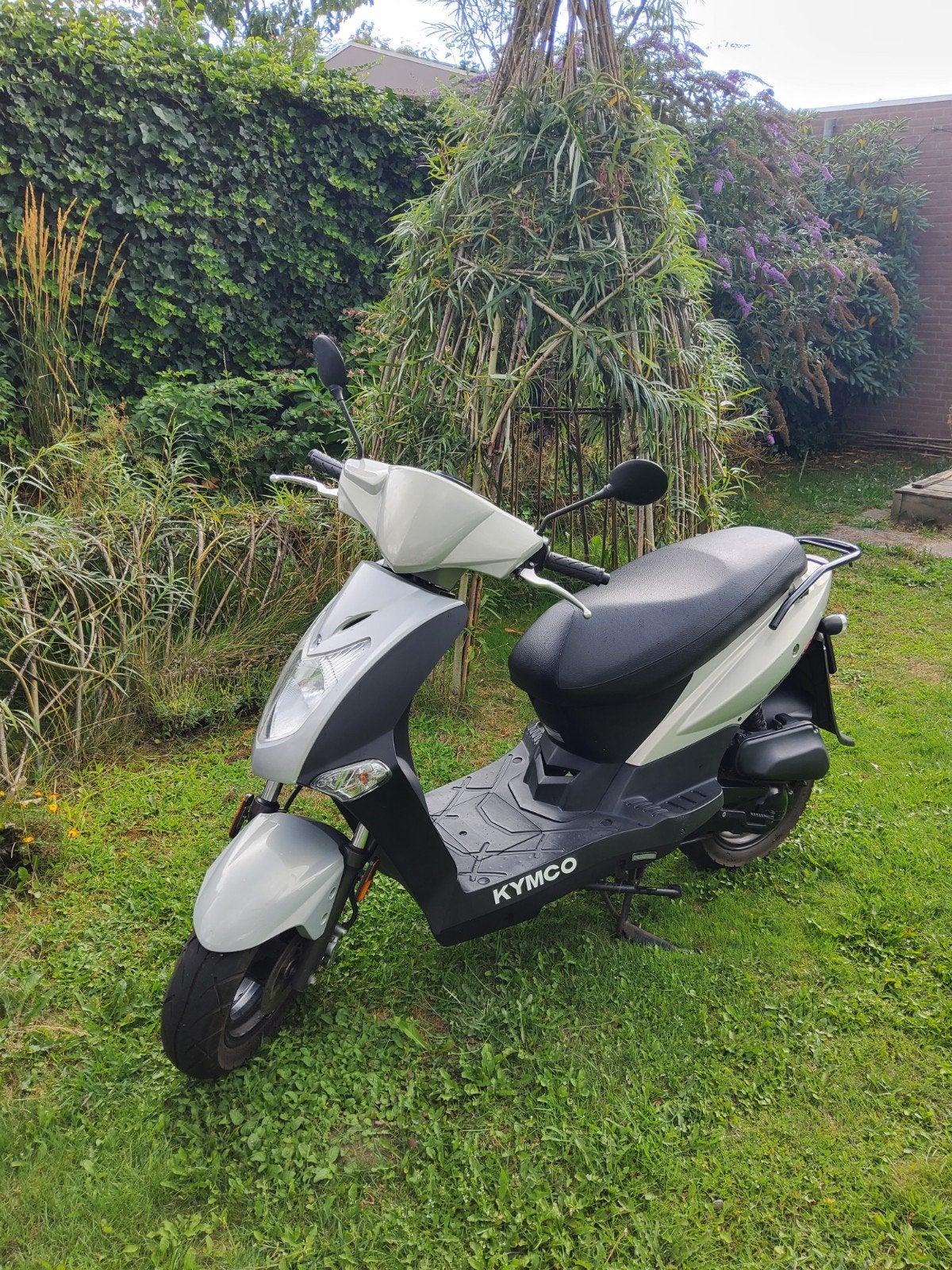 Kymco Agility 50 (2-takt) uit 2014 - Goed onderhouden, Ophalen, Gebruikt, Maximaal 45 km/u, Agility