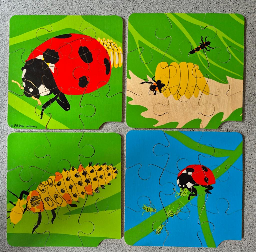 4 houten puzzels met de cyclus van het lieveheersbeestje, 10 tot 50 stukjes, Ophalen of Verzenden, Zo goed als nieuw, Van hout