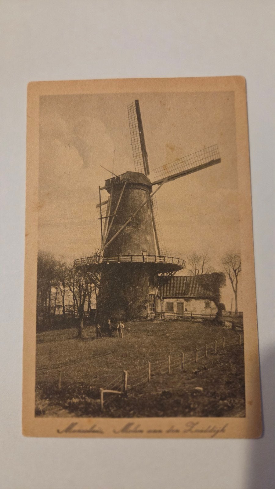 Maassluis molen., Verzenden