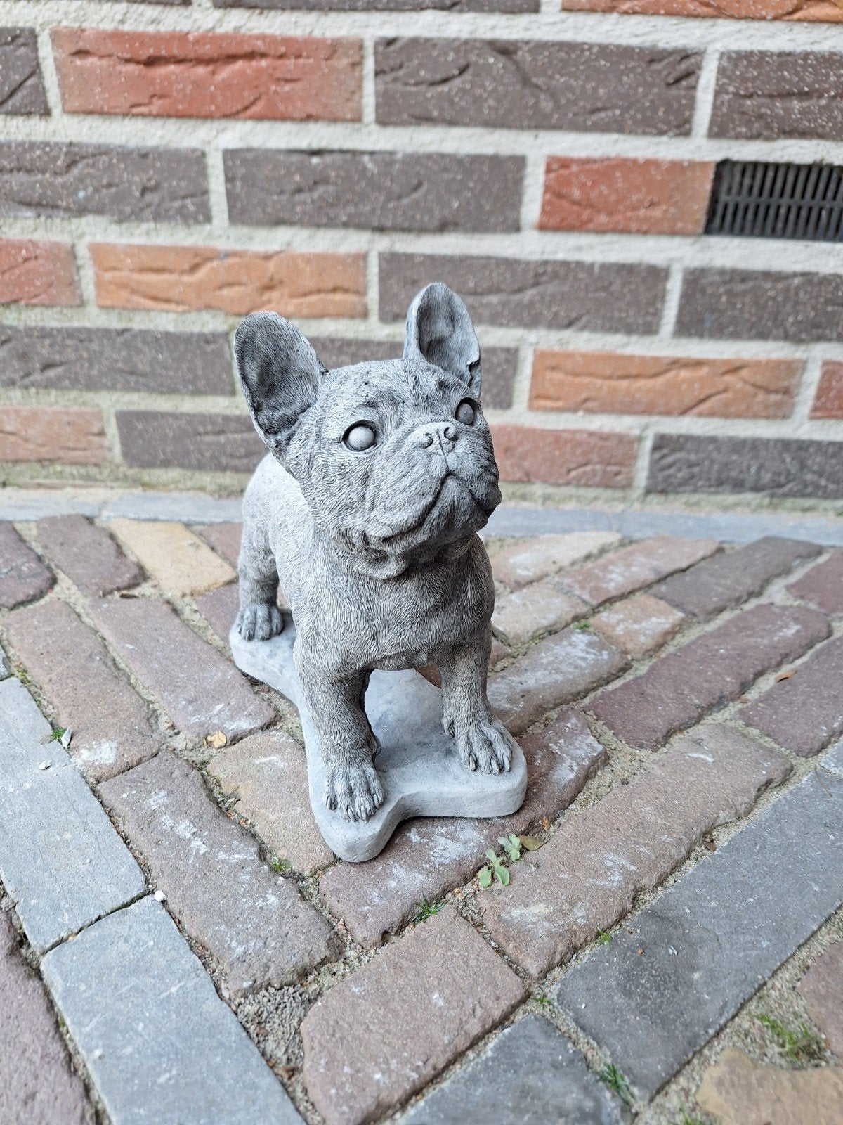 Betonnen beeld Franse Bulldog - 20x23 cm, Ophalen, Nieuw, Beton, Dierenbeeld