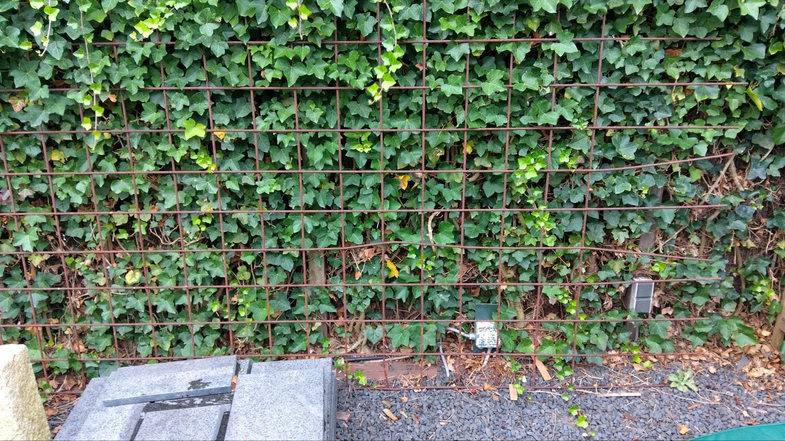Betonnet / Bouwstaalmat voor klimop of hekwerk, Ophalen, Zo goed als nieuw, Minder dan 10 meter, Raster