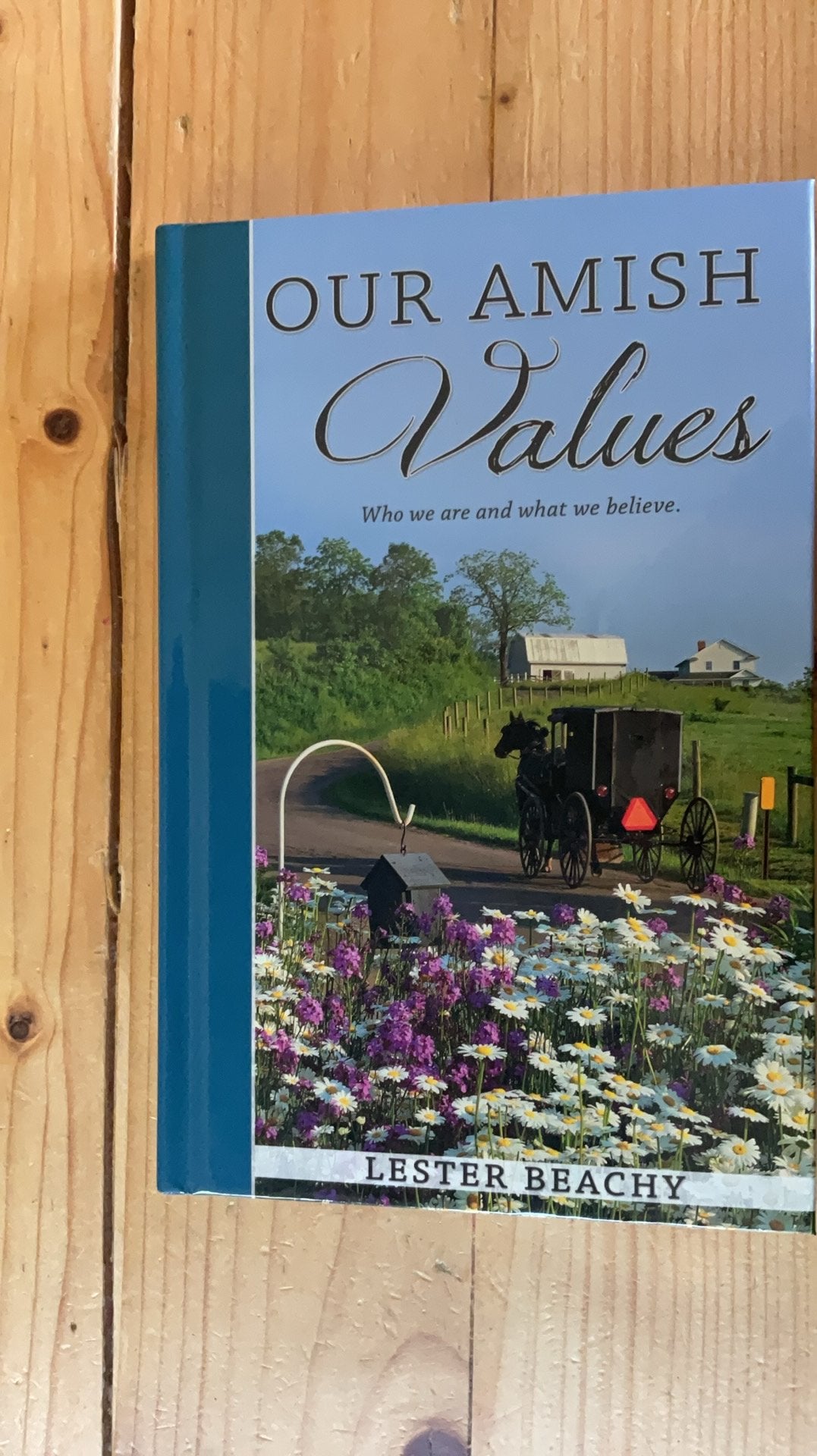 Our amish values, door Lester Beachy, Ophalen of Verzenden, Zo goed als nieuw